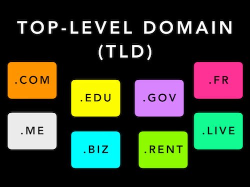 What Is a Top-Level Domain?