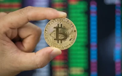 Understanding Cryptocurrency: A Beginner’s Guide to Digital Money