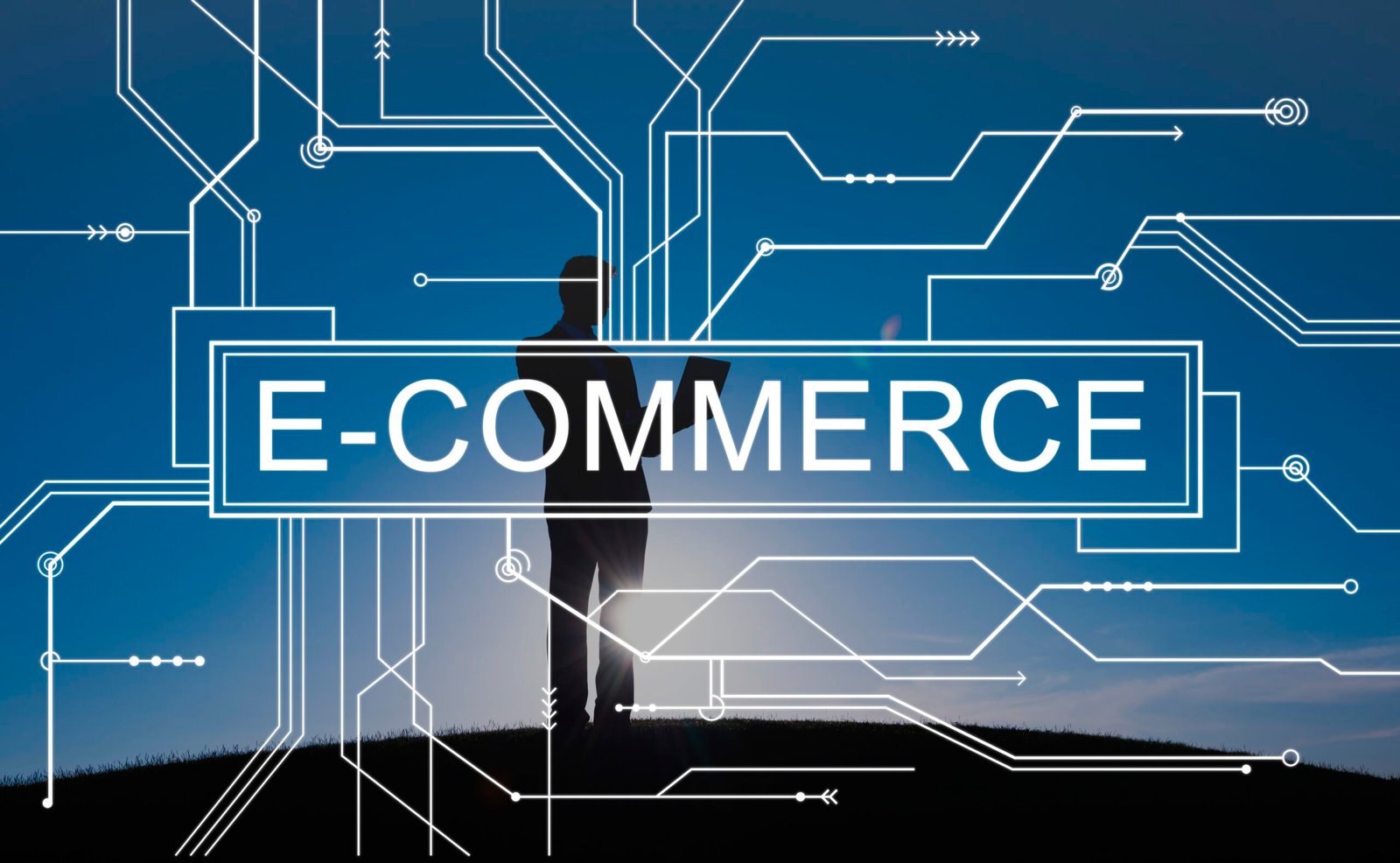 The Evolution of E-Commerce: Shaping the Future of Retail