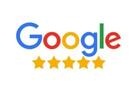 Hire WordPress Developers google rank