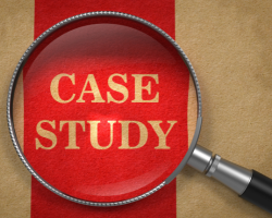 e commerce (1) SEO Case Studies