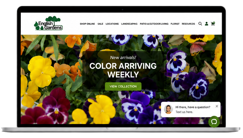 ChatGPT Image May 1, 2026, 05_16_58 PM-Photoroom hire-wordpress-developers